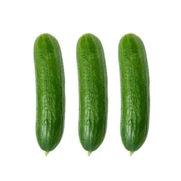 Wholesale Cucumber